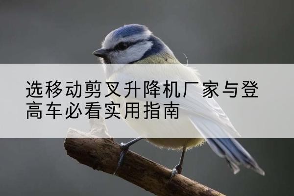滨州电动升降机厂家-选移动剪叉升降机厂家与登高车必看实用指南