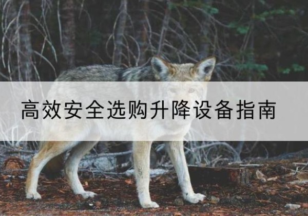 滨州升降货梯厂家推荐-*安全选购升降设备指南