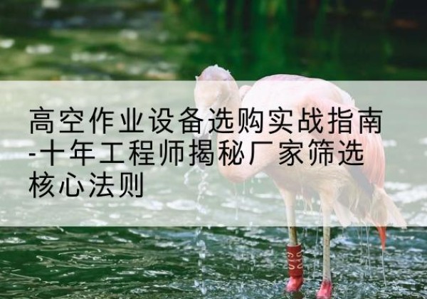 滨州剪叉式升降机厂家-高空作业设备选购实战指南-十年工程师揭秘厂家筛选核心法则